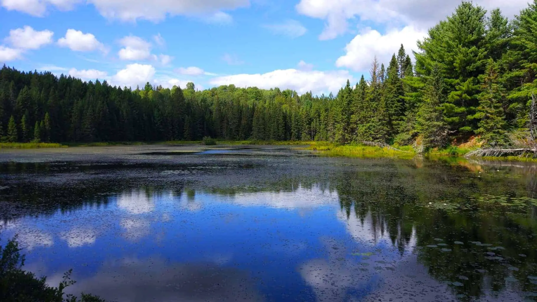 a beautiful lake in algonquin park, canada