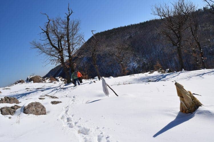 2 men walking in winter