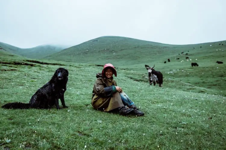 a woman setting on the grass with her dog