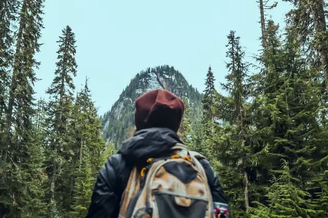 hiker walking in the woods