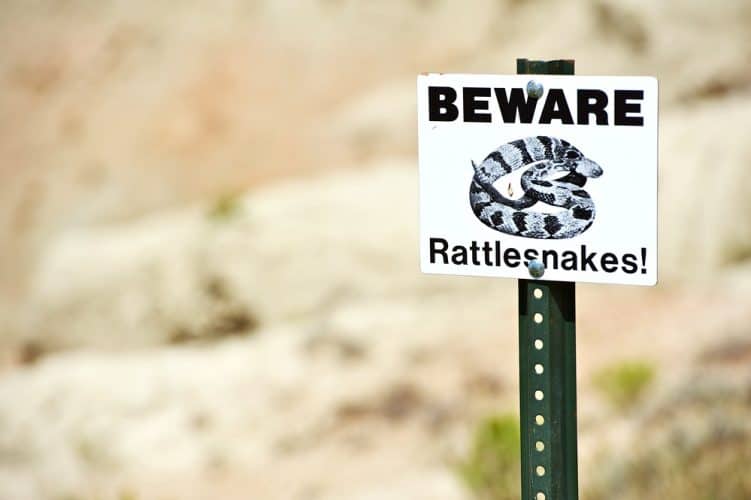 Beware Rattlesnakes