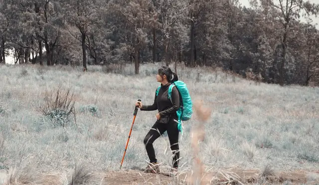 hiking with a stick