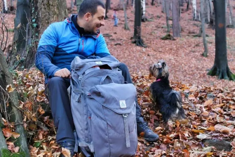 hiking with my dog and the salkan backpack