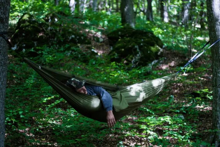 hammock hung between trees