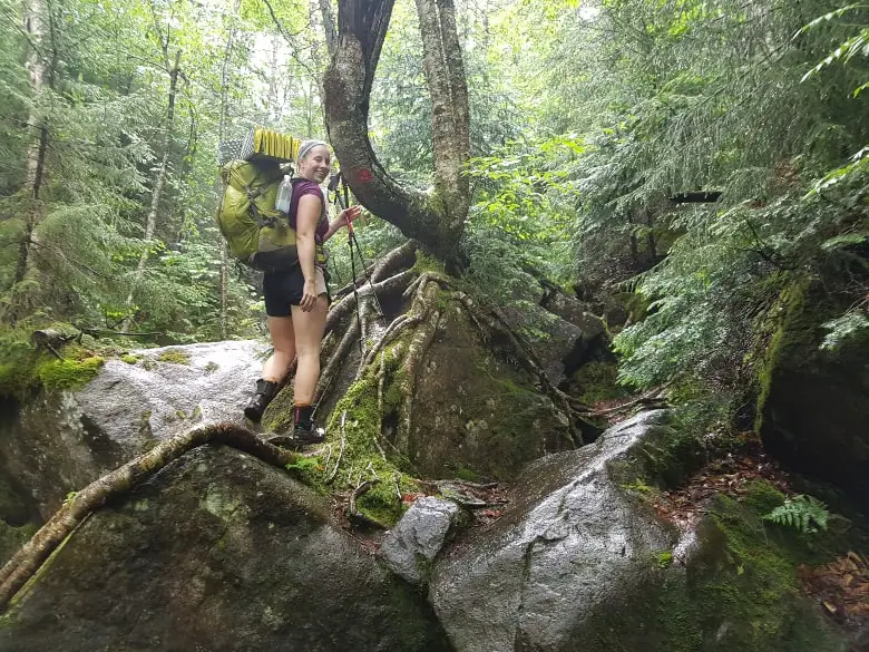 hiking in the forest of the Adirondacks