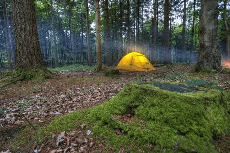 choosing the right camp location