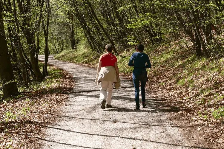 difference between hiking and walking