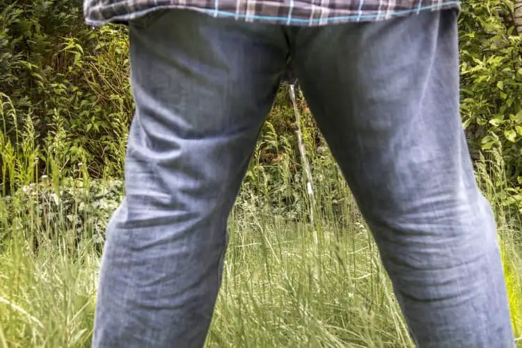 Man peeing on a meadow