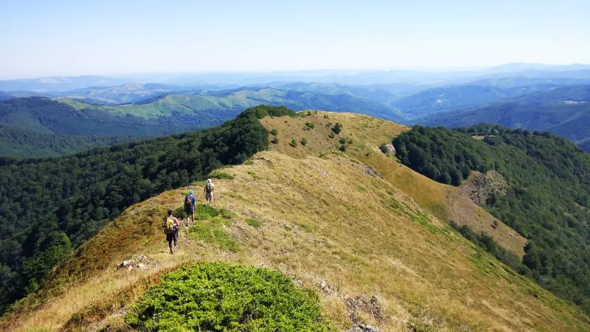 three friends backpacking in the wilderness