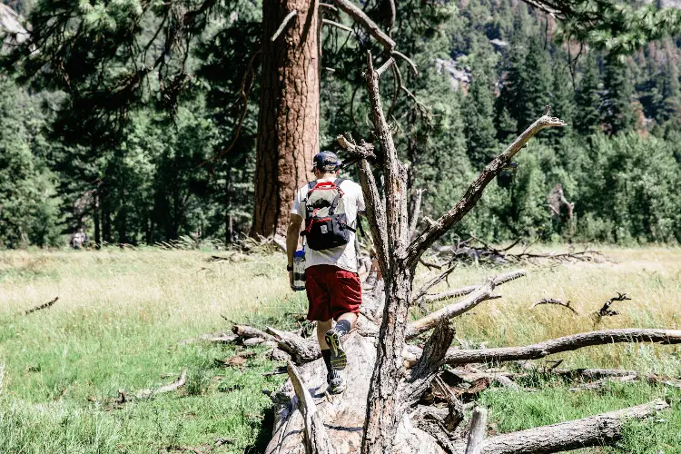 a backpacker in the woods