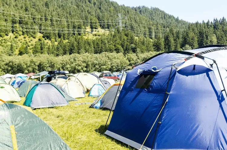 a campsite with many tents
