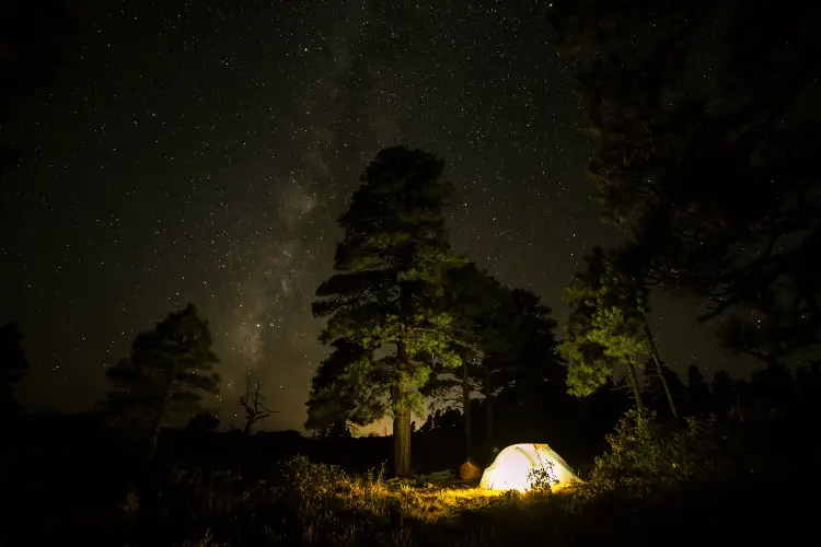 canvas tent at night