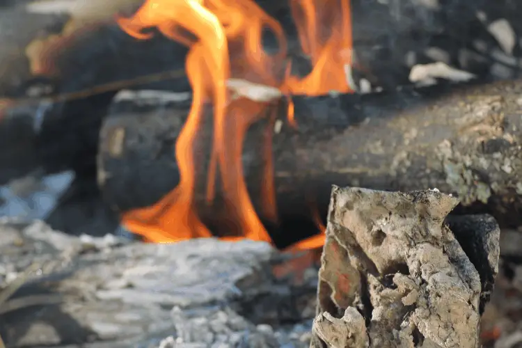 a fire bed with woods