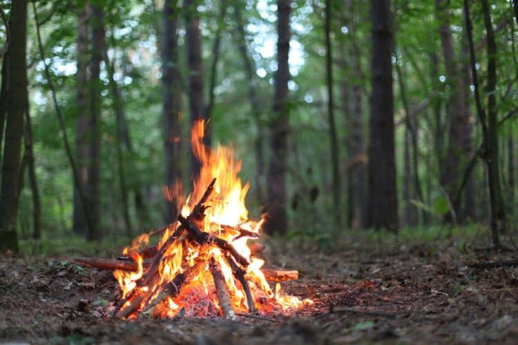 fire bed at a campsite