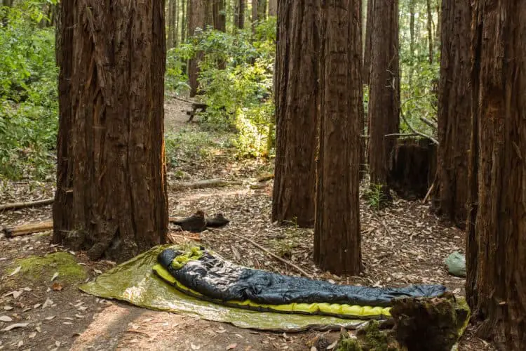 a sleeping bag in the woods