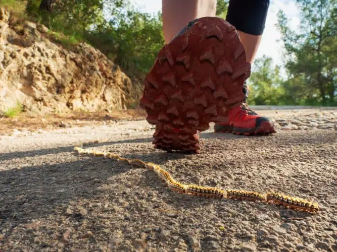 running shoe outsole