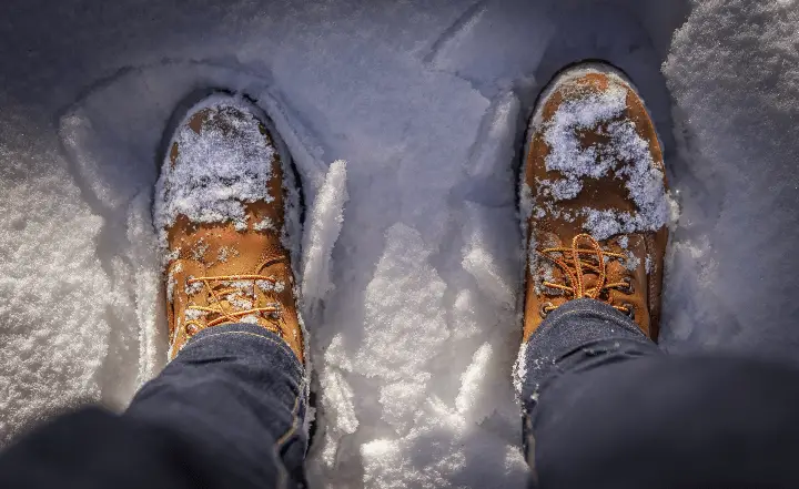 timberlands in snow