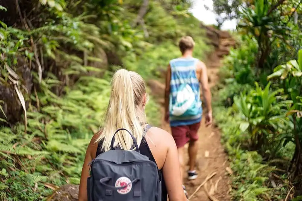 hiking in the woods