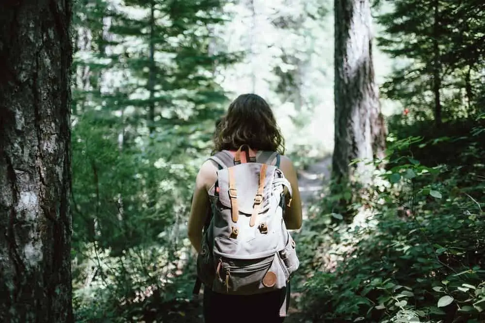 hiker in the woods