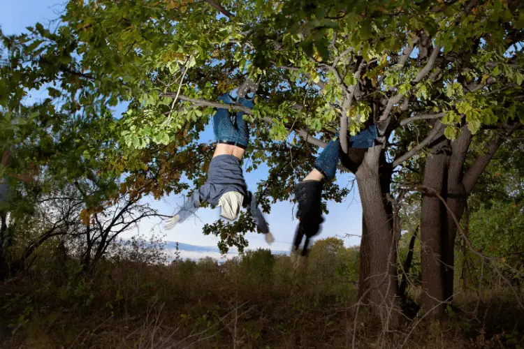 couple hanging off a tree