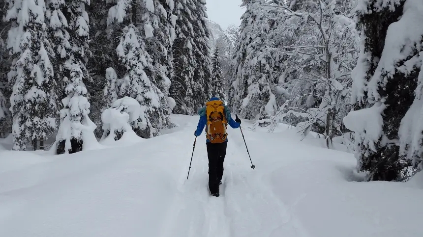 hiking during winter with walking poles