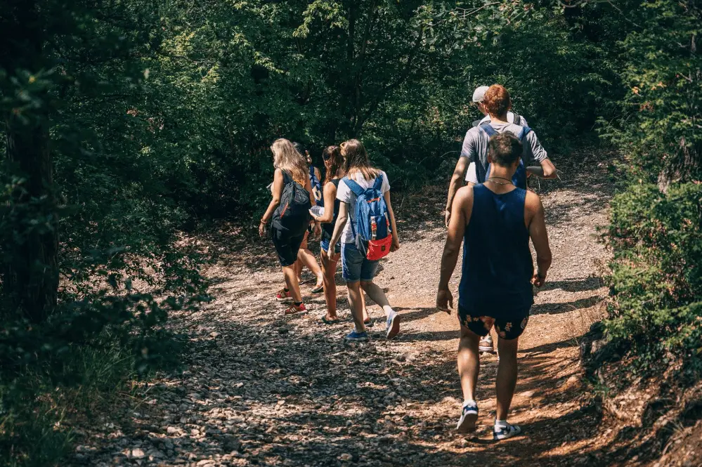 a group of people walking in the forest