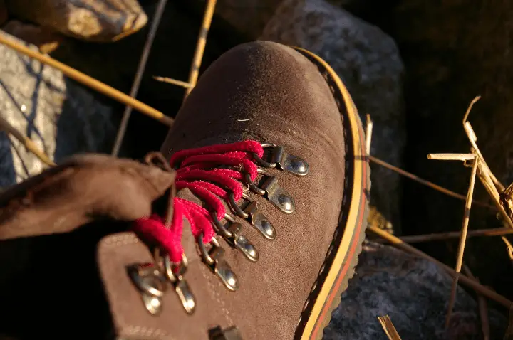 hiking shoe