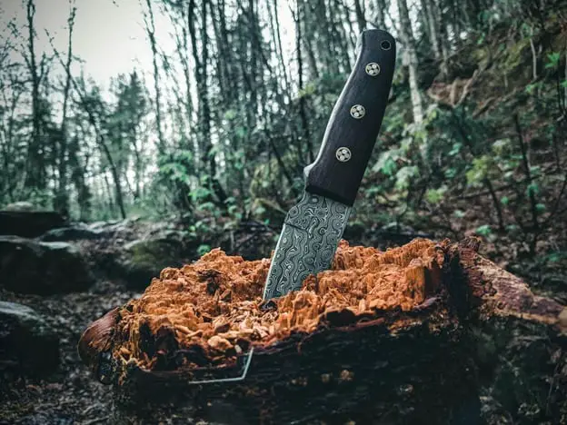 Why You Should Carry a Knife on Hiking?