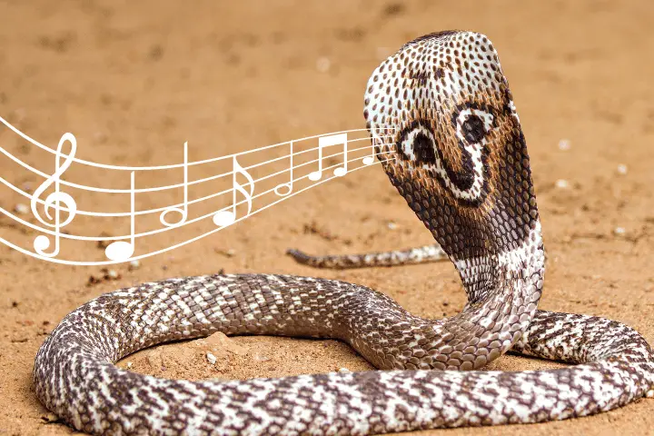 snakes like music