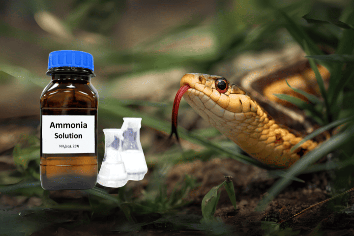 ammonia keep snakes away