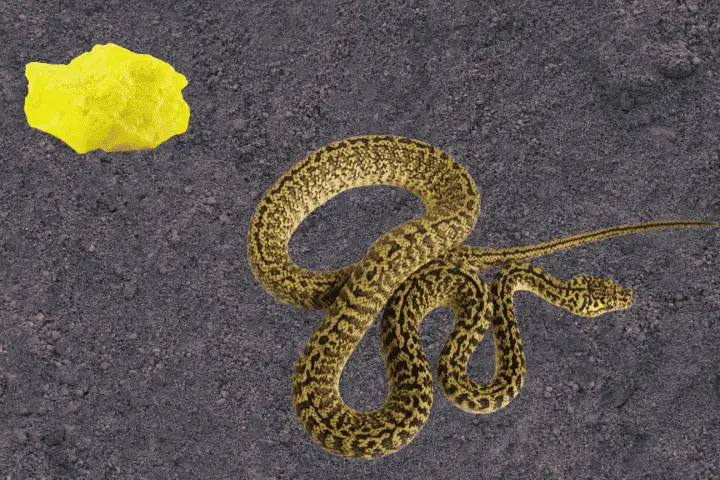 Sulfur Keep Snakes Away