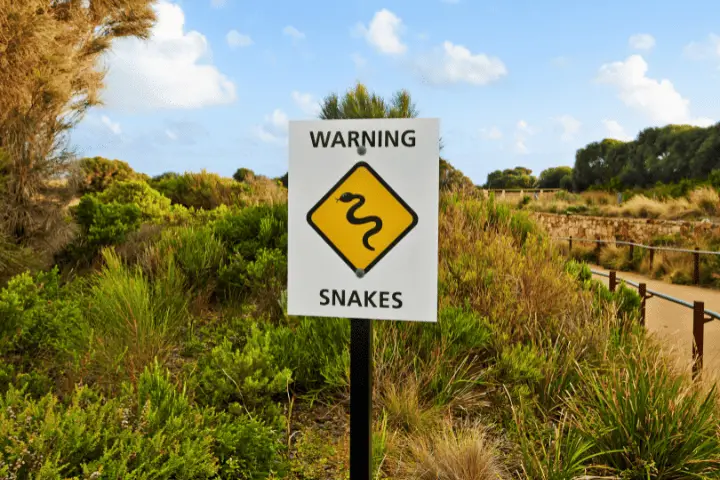 avoid snakes while hiking